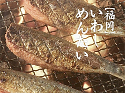 Fukuoka sardine pollack