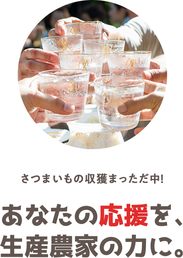 さつまいもの収穫まっただ中！あなたの応援を、生産農家の力に。