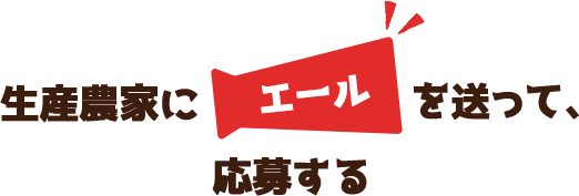 offer 応募はこちら