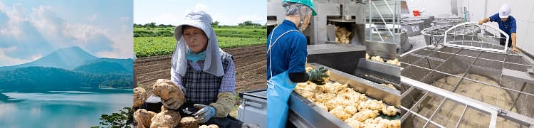 生産農家の作業イメージ